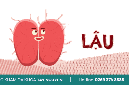 Điều Trị Bệnh Lậu Bằng Thuốc Có Khỏi Bệnh Không Tây Nguyên