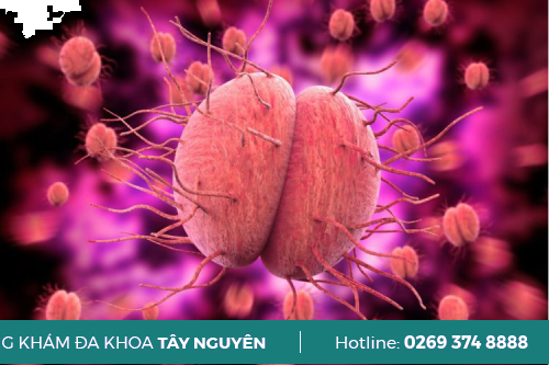 Hiện Nay Bệnh Lậu Gây Nguy Cơ Vô Sinh Không Pleiku Gia Lai Hiện Nay Bệnh Lậu Gây Nguy Cơ Vô Sinh Không Pleiku Gia Lai