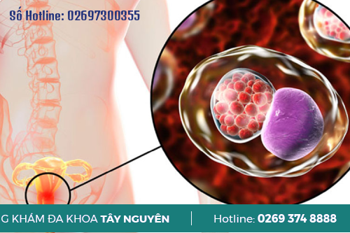 Những Dấu Hiệu Cho Biết Đã Khoải Bệnh Lậu Gia Lai Những Dấu Hiệu Cho Biết Đã Khoải Bệnh Lậu Gia Lai