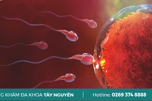 Tinh trùng chảy ra ngoài sau khi quan hệ ở nam giới là hiện tượng gì?