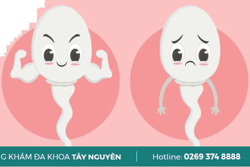 Tinh Trùng Có Vị Đắng Nguyên Nhân Do Đâu?